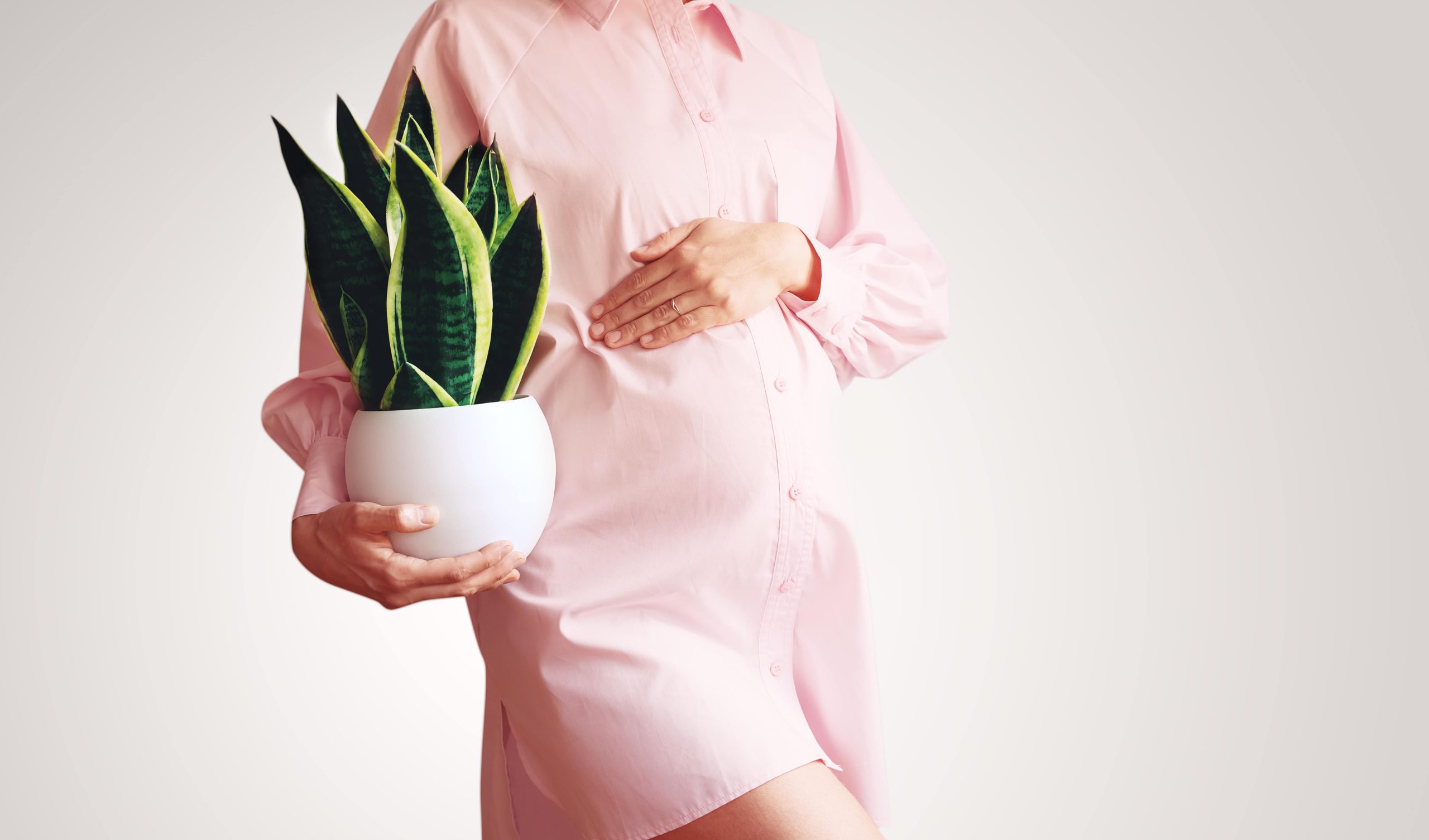 pregnant-woman-with-green-plant-in-hands
